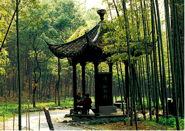 yy易游